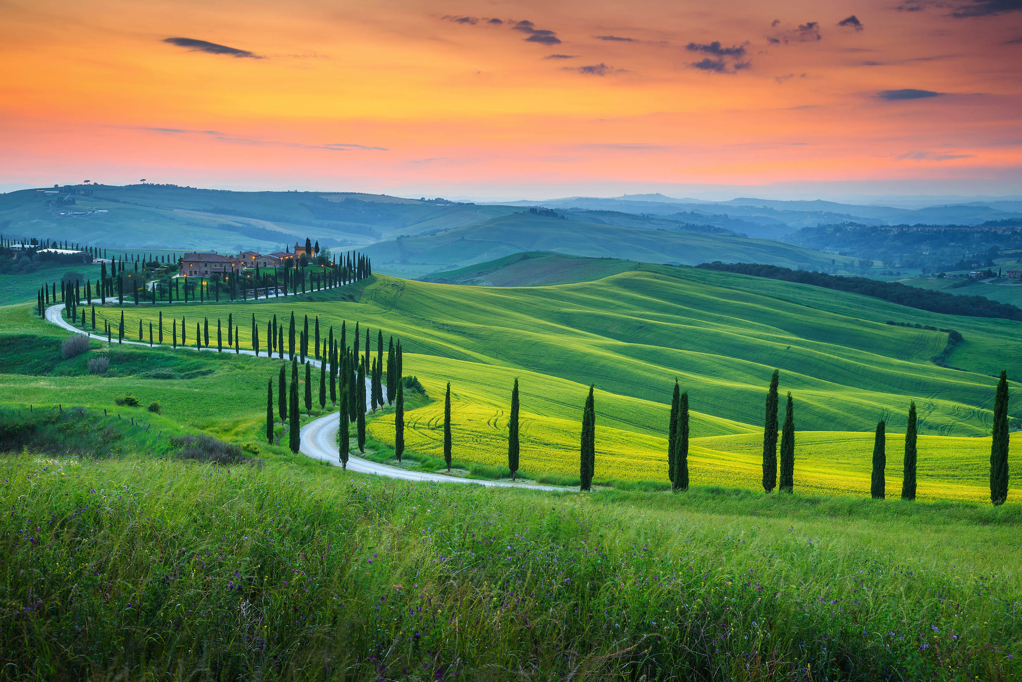 Tuscany Italy 6841